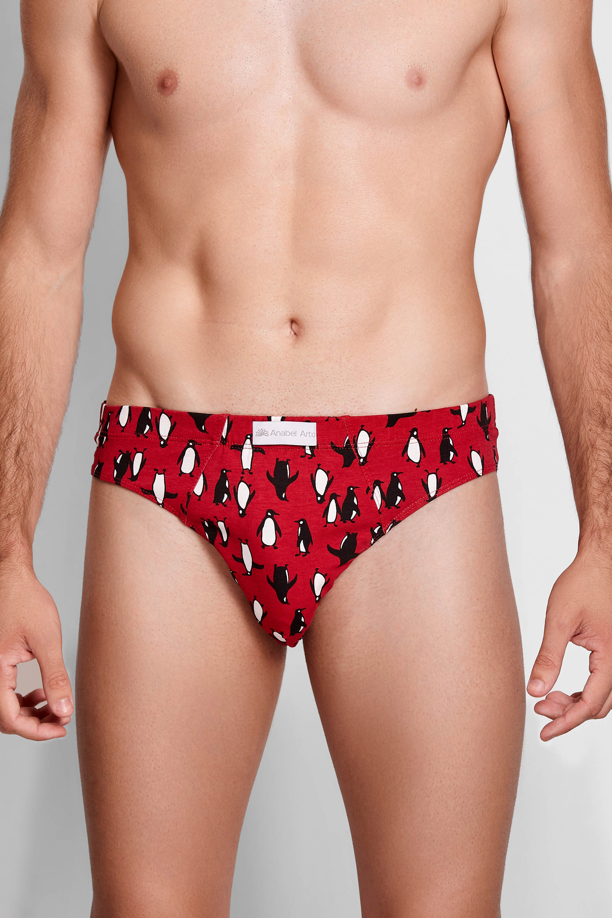 6120-1 труси чоловічі Anabel Arto